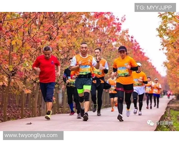 运动员的奋斗历程与心路历程分享激励你我共迎挑战与梦想