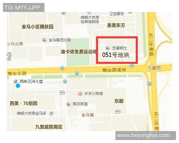 羽毛球全英赛精彩回顾与分析赛场表现与选手动态全景解读