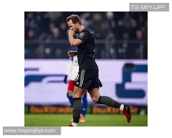 汉堡队逐渐崛起,积分榜稳步攀升